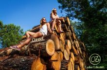 Lunettes de soleil en bois (bambou) écolo Ozed